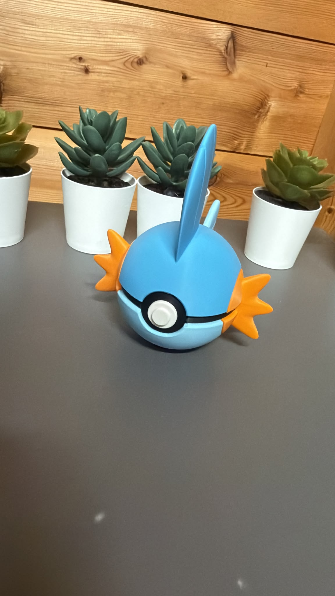 #0258 Mudkip